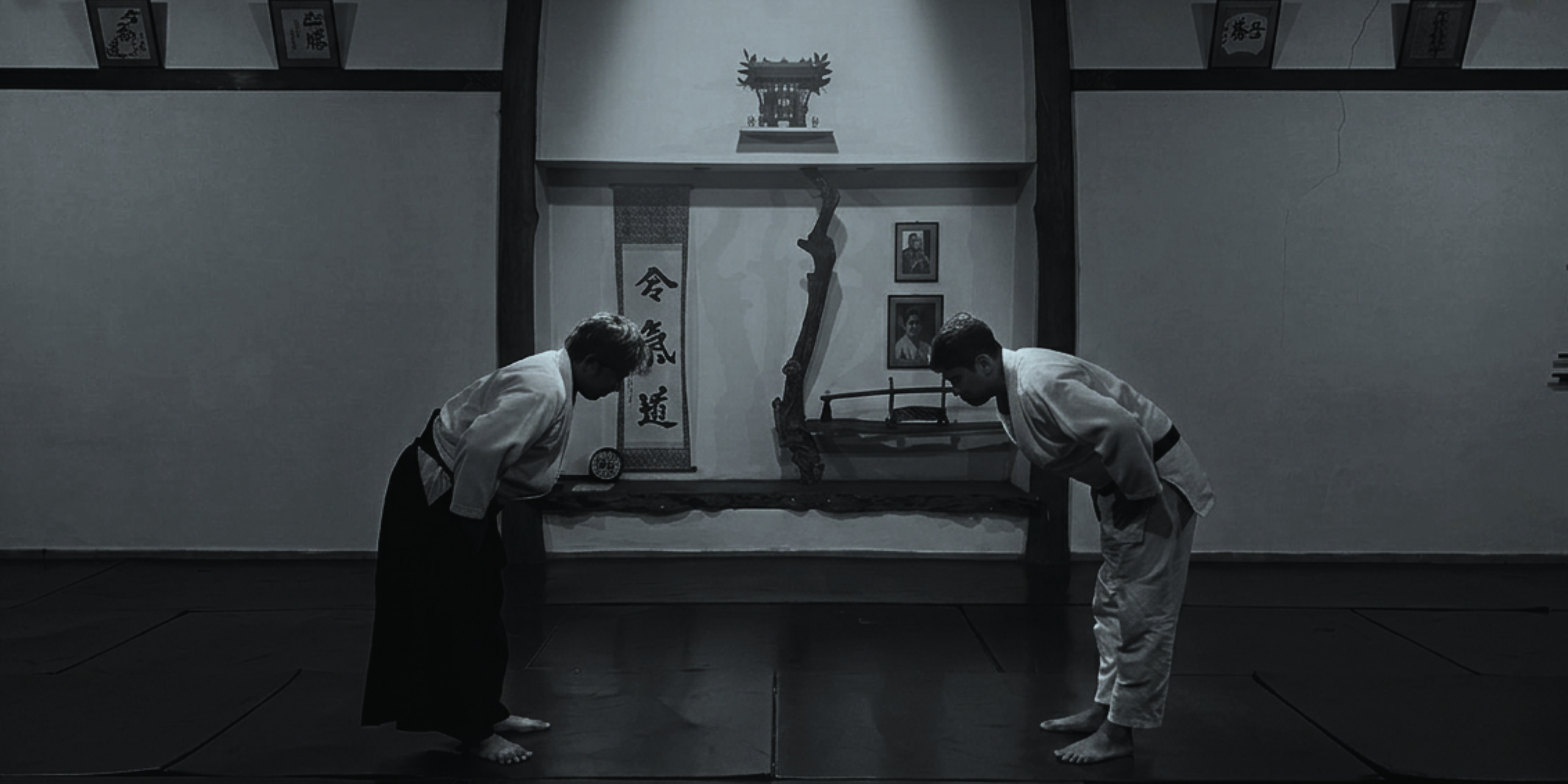 ShoHeiKan Dojo Background