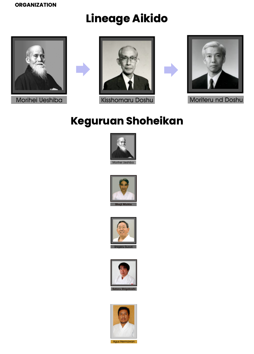 Lineage Aikido dan Keguruan Shoheikan